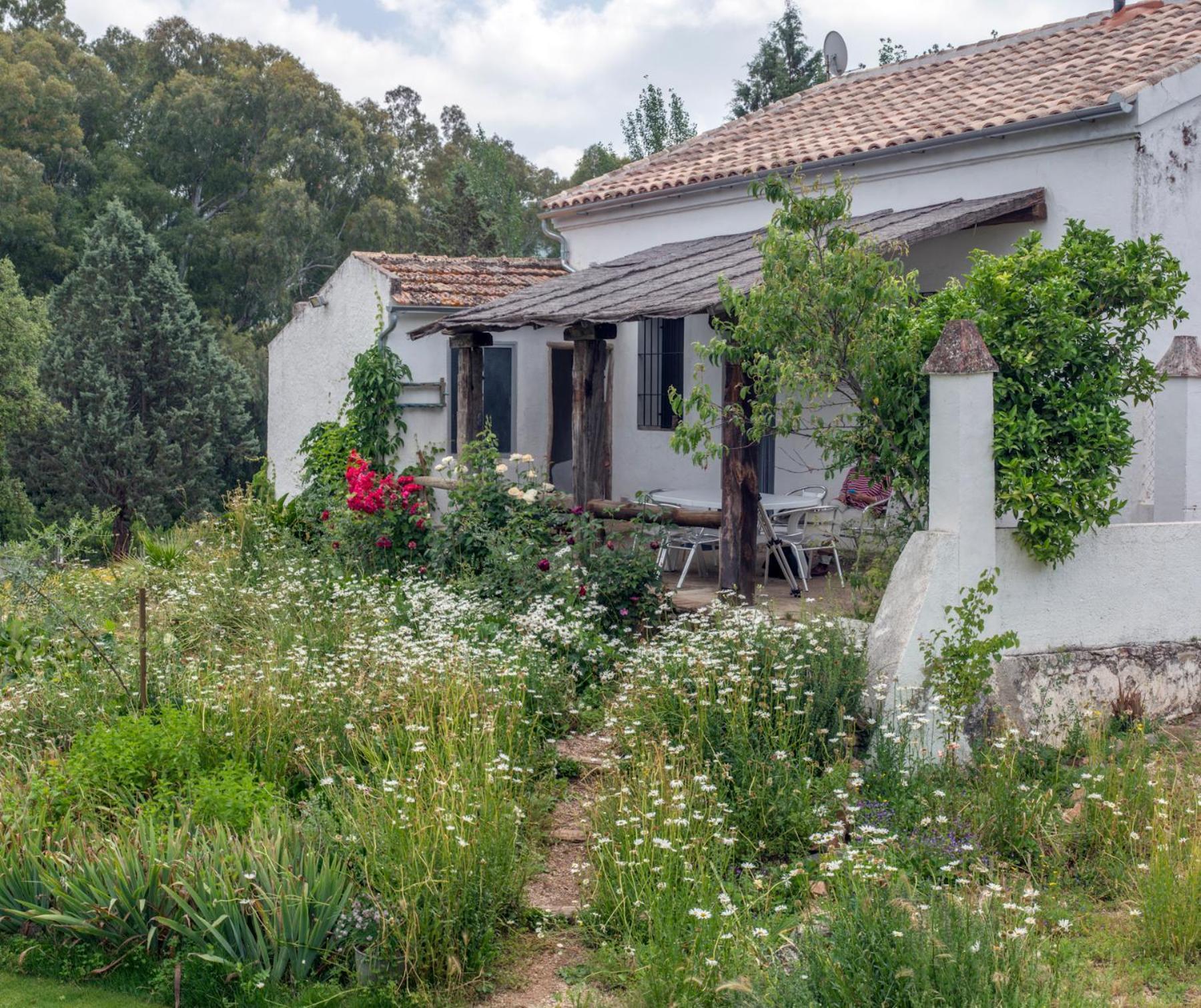 La Umbría de la ribera Casa de hóspedes El Pedroso Exterior foto