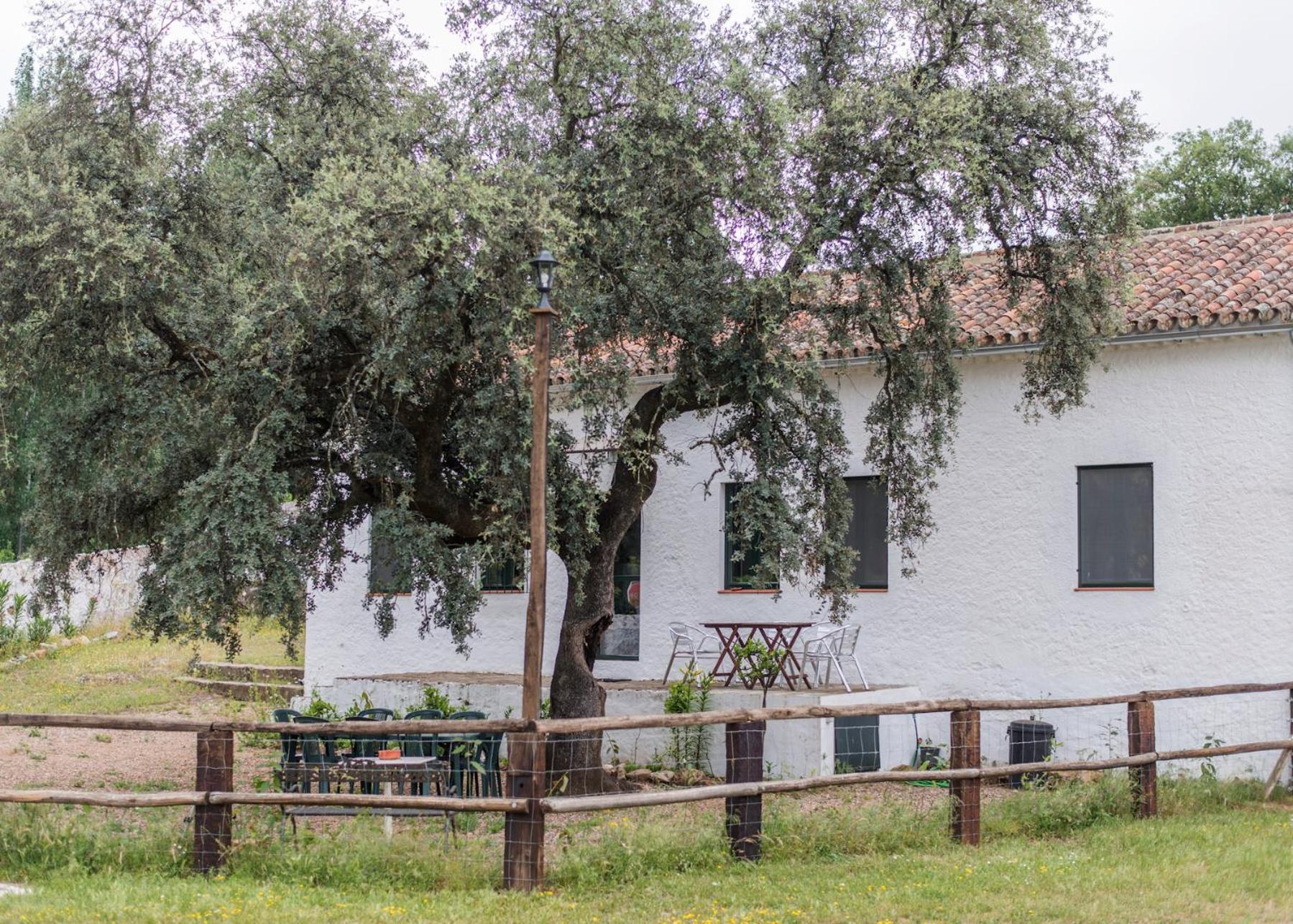 La Umbría de la ribera Casa de hóspedes El Pedroso Exterior foto
