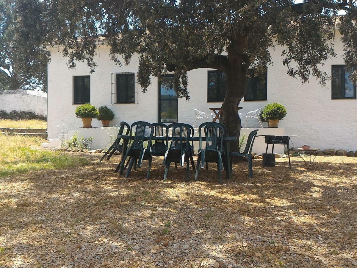 La Umbría de la ribera Casa de hóspedes El Pedroso Exterior foto
