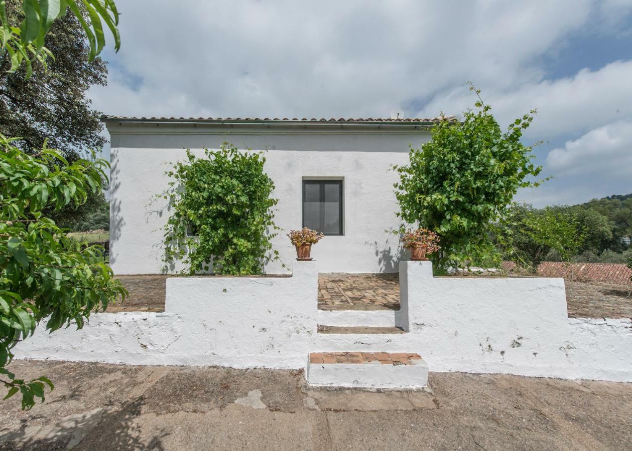La Umbría de la ribera Casa de hóspedes El Pedroso Exterior foto