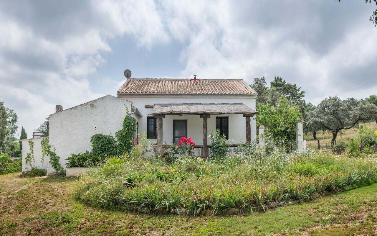 La Umbría de la ribera Casa de hóspedes El Pedroso Exterior foto