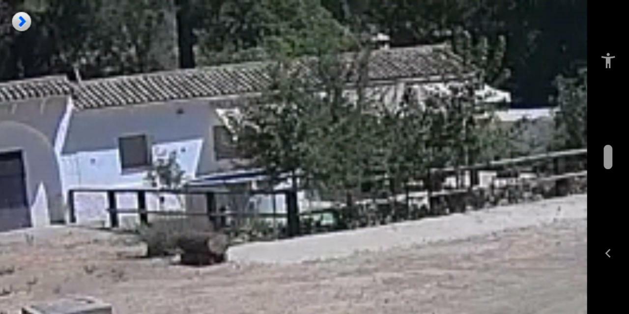 La Umbría de la ribera Casa de hóspedes El Pedroso Exterior foto